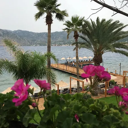 Beyaz Guvercin Butik