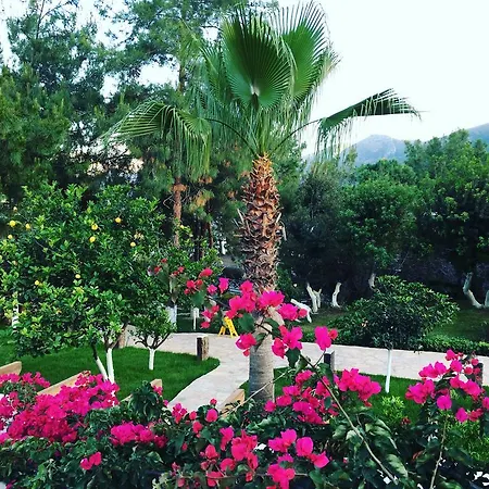 酒店 Beyaz Guvercin Butik