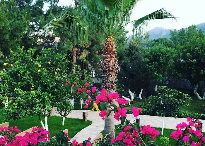 Hotel Beyaz Guvercin Butik